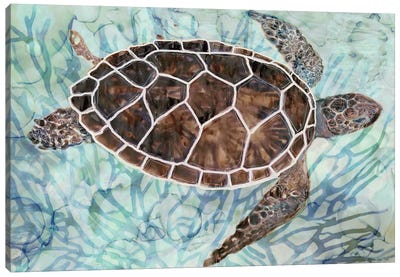 Sea Turtle Collage I Canvas Art Print - Reptile & Amphibian Art