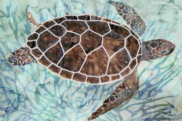 Reptiles & Amphibians: Sea Turtle Collage I by Stellar Design Studio