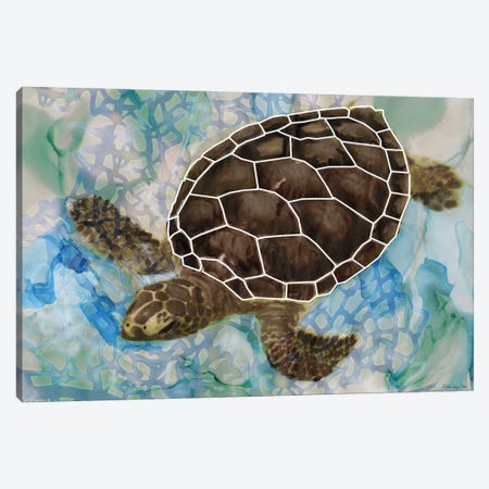 Sea Turtle Collage II Canvas Print #SLD194} by Stellar Design Studio Canvas Print