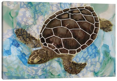 Sea Turtle Collage II Canvas Art Print - Turtle Art
