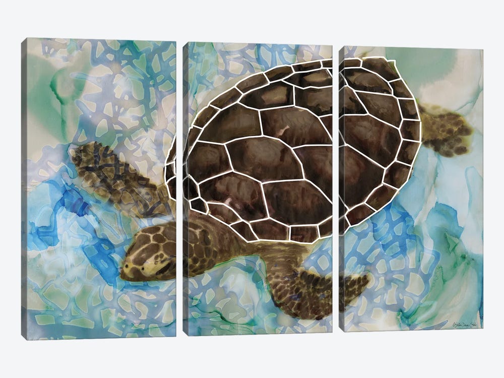Sea Turtle Collage II by Stellar Design Studio 3-piece Canvas Print