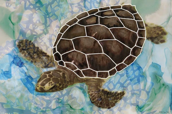 Turtles: Sea Turtle Collage II by Stellar Design Studio