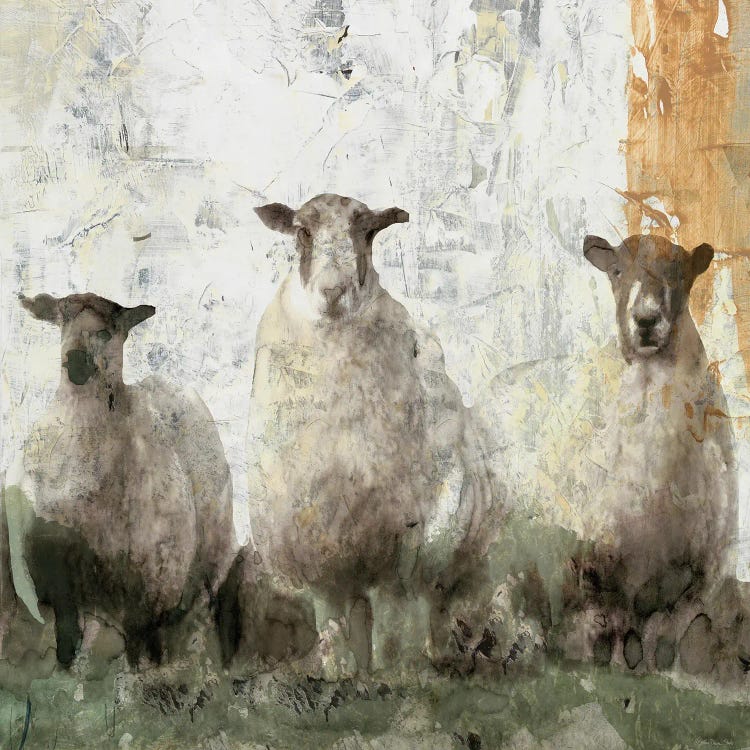 Three Sheep