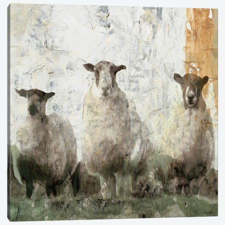 Three Sheep Canvas Print #SLD198} by Stellar Design Studio Canvas Art