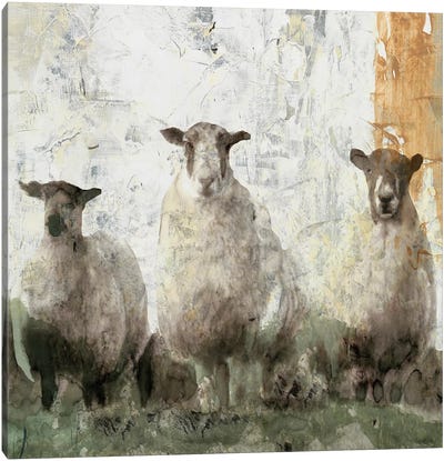 Three Sheep Canvas Art Print - Sheep Art