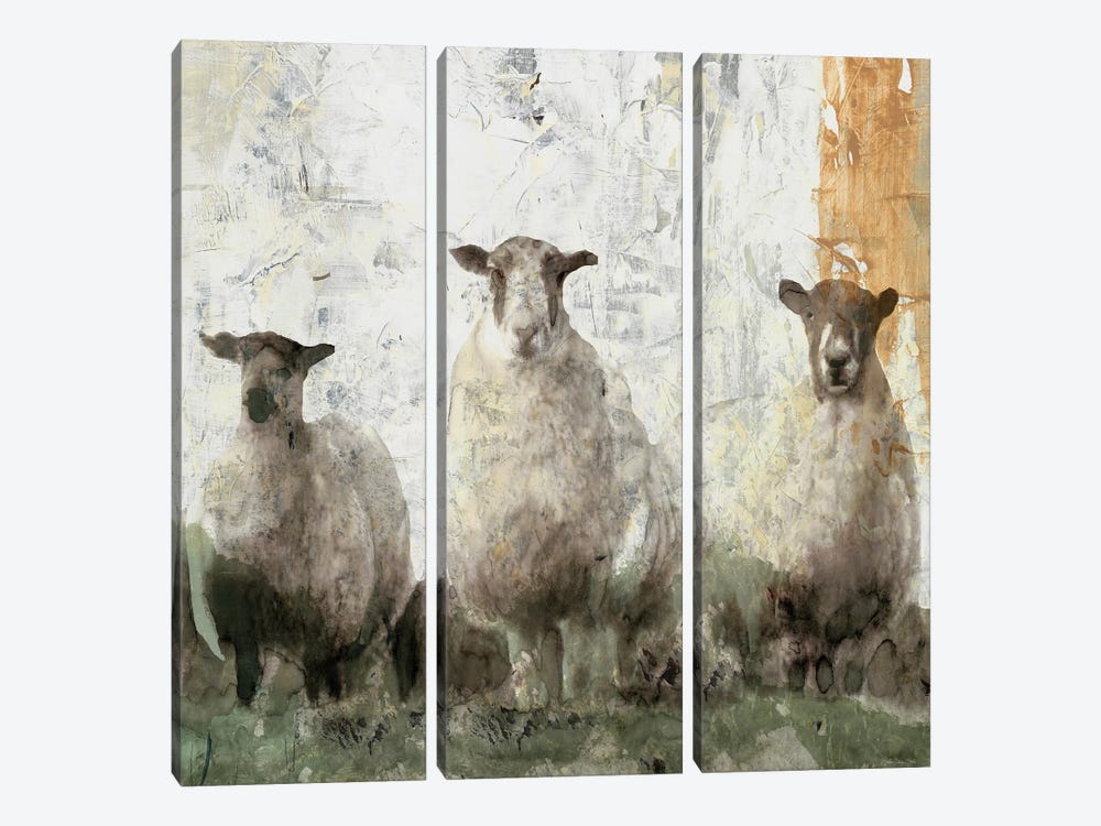 Three Sheep by Stellar Design Studio 3-piece Canvas Print