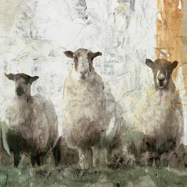 Sheep: Three Sheep by Stellar Design Studio
