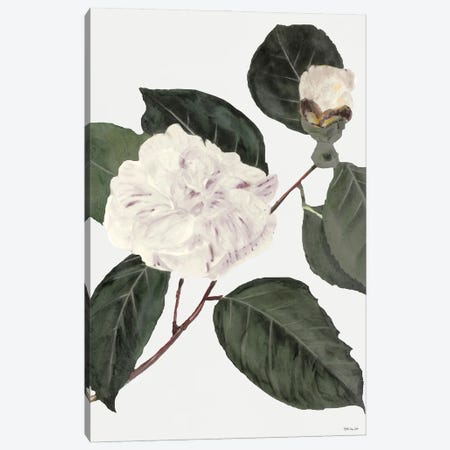 White Botanical I Canvas Print #SLD211} by Stellar Design Studio Art Print