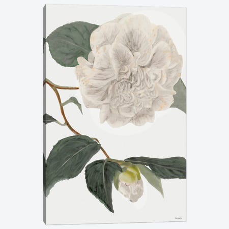 White Botanical II Canvas Print #SLD212} by Stellar Design Studio Canvas Print
