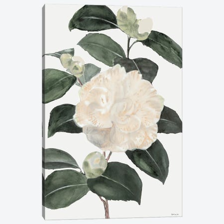 White Botanical III Canvas Print #SLD213} by Stellar Design Studio Canvas Print