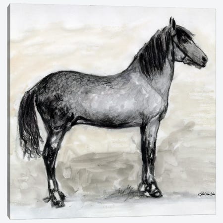 Horse Study I Canvas Print #SLD217} by Stellar Design Studio Canvas Art