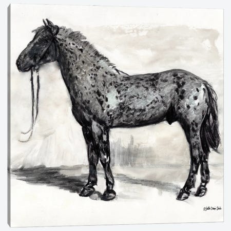 Horse Study II Canvas Print #SLD218} by Stellar Design Studio Canvas Art Print