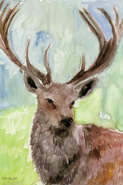 Pacific Coast Wildlife VI by Stellar Design Studio art print