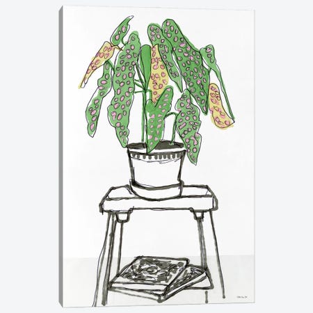 House Plant Study I Canvas Print #SLD257} by Stellar Design Studio Canvas Art