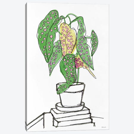 House Plant Study II Canvas Print #SLD258} by Stellar Design Studio Canvas Art Print