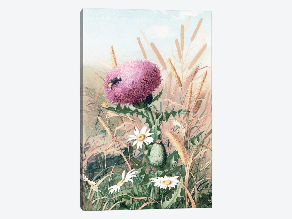 Meadow Flowers I by Stellar Design Studio 1-piece Art Print