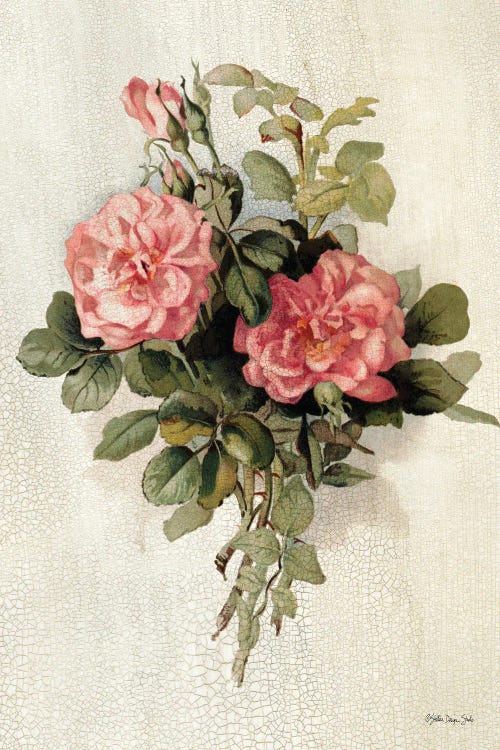 Pink Roses