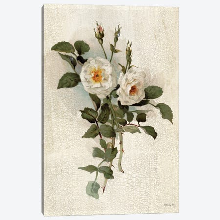 White Roses Canvas Print #SLD283} by Stellar Design Studio Canvas Wall Art