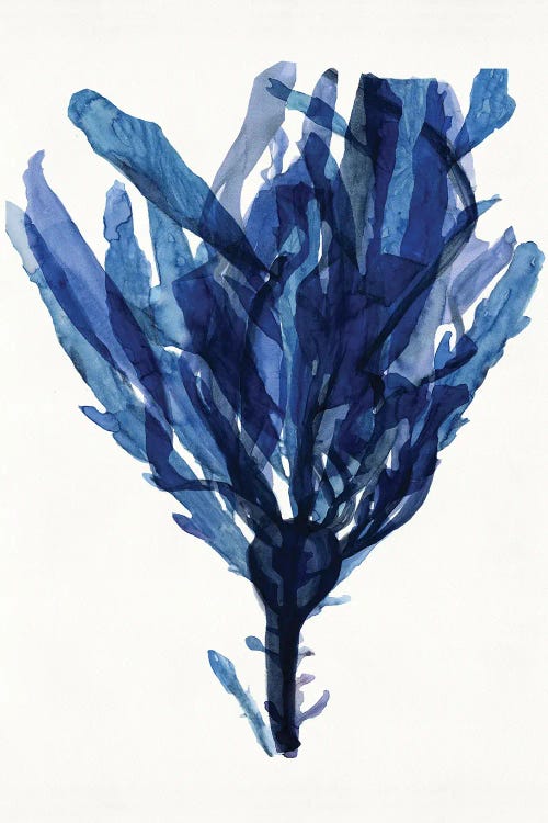Indigo Ocean IV by Stellar Design Studio wall art