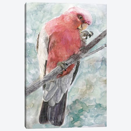Tropic Parrot I Canvas Print #SLD292} by Stellar Design Studio Canvas Print