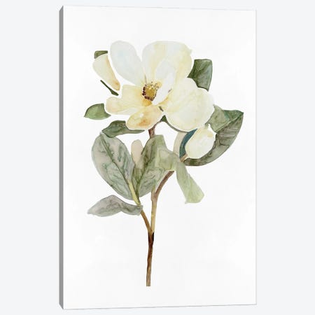 White Blossom VI Canvas Print #SLD300} by Stellar Design Studio Canvas Art Print