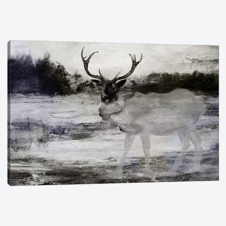 Bull In Forest II Canvas Print #SLD326} by Stellar Design Studio Canvas Wall Art