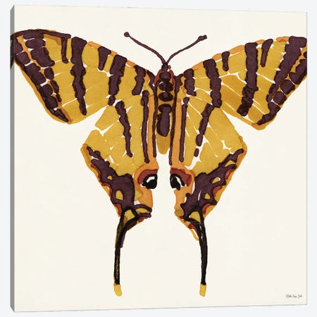 Papillon II Canvas Print #SLD356} by Stellar Design Studio Canvas Print