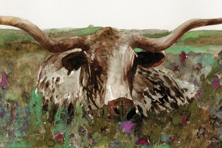 Texas Longhorn In Field