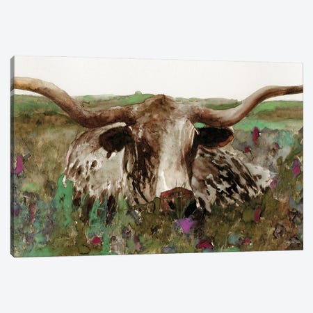 Texas Longhorn In Field Canvas Print #SLD368} by Stellar Design Studio Canvas Print