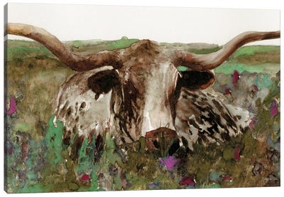 Texas Longhorn In Field Canvas Art Print - Longhorn Art