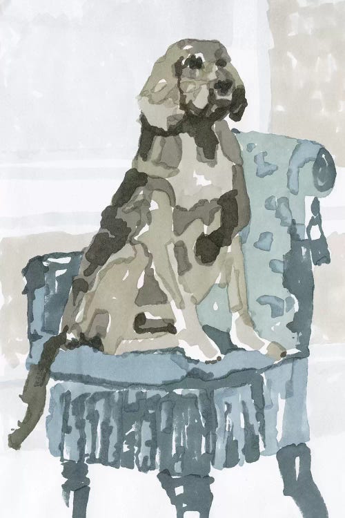 Dog Study V