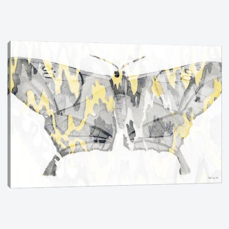 Yellow Gray Patterned Moth II Canvas Print #SLD382} by Stellar Design Studio Canvas Art Print