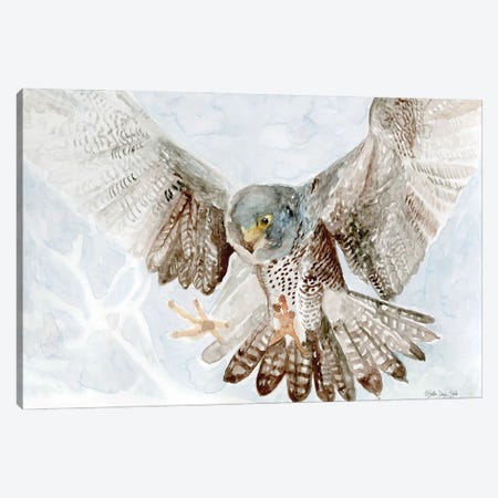Falcon Canvas Print #SLD385} by Stellar Design Studio Canvas Art