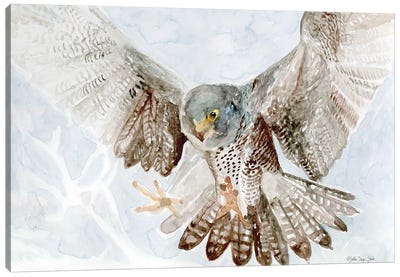 Falcon Canvas Art Print - Falcons