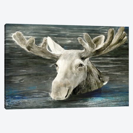 Lake Moose Canvas Print #SLD403} by Stellar Design Studio Canvas Wall Art