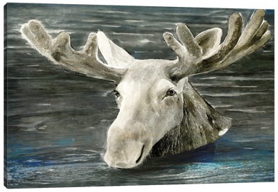 Lake Moose Canvas Art Print - Moose Art