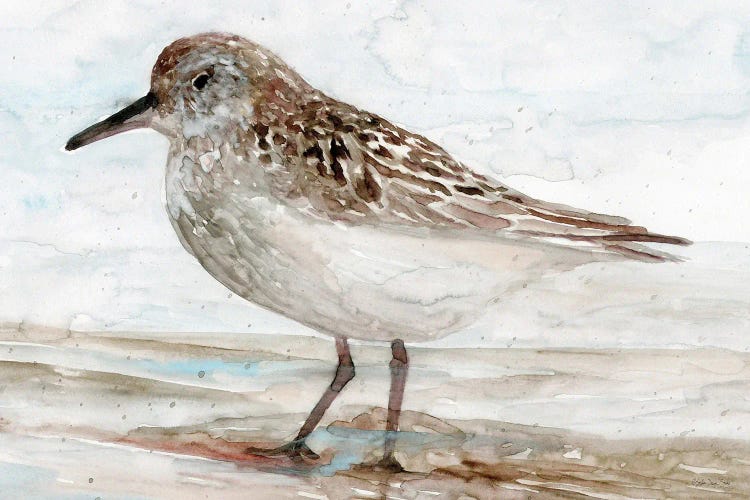 Sanibel Piper I