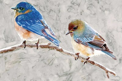 Eastern Bluebirds I by Stellar Design Studio art print