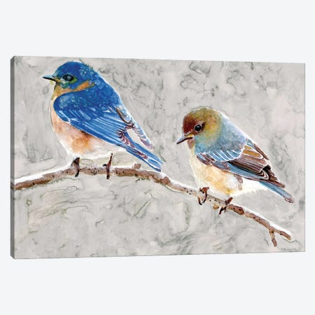 Eastern Bluebirds I Canvas Print #SLD433} by Stellar Design Studio Canvas Print