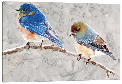 Eastern Bluebirds I Canvas Art Print - Stellar Design Studio