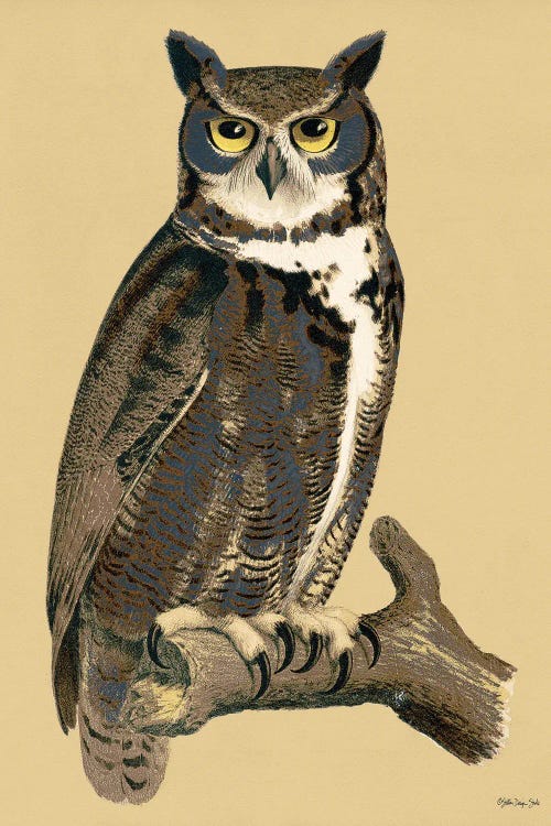 awesome owl drawing