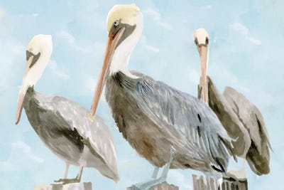 Soft Brown Pelican III by Stellar Design Studio framed wall art