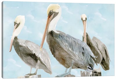 Soft Brown Pelican III Canvas Art Print - Nautical Décor