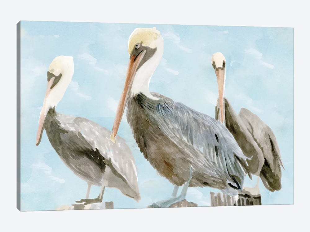 Soft Brown Pelican III by Stellar Design Studio 1-piece Canvas Art Print