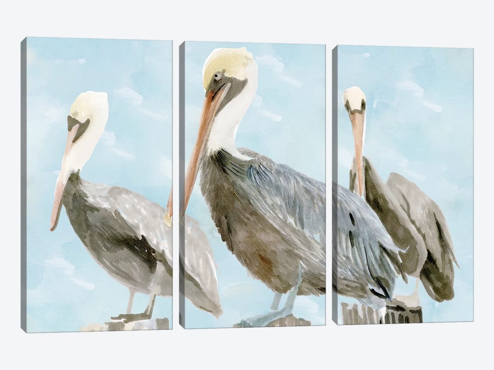 Soft Brown Pelican III by Stellar Design Studio 3-piece Canvas Art Print