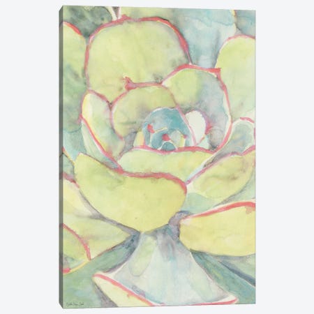 Succulent Bloom II Canvas Print #SLD463} by Stellar Design Studio Canvas Artwork