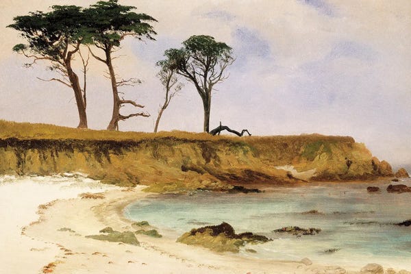 Coastal Sand Dunes: Along The Coast by Stellar Design Studio