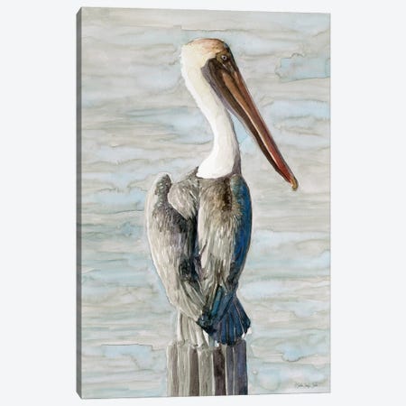 Brown Pelican I Canvas Print #SLD466} by Stellar Design Studio Canvas Print
