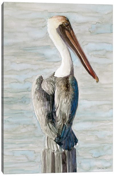 Brown Pelican I Canvas Art Print - Nautical Décor