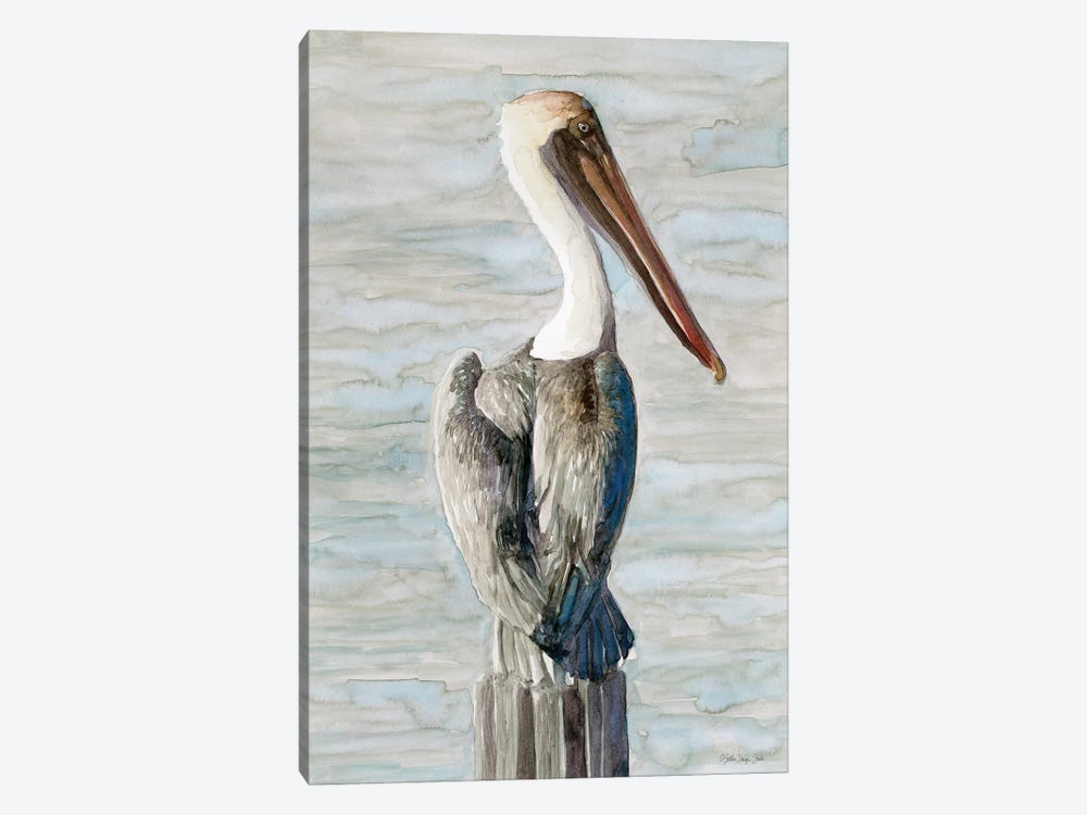 Brown Pelican I by Stellar Design Studio 1-piece Canvas Wall Art